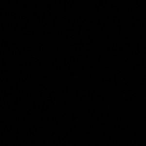 Meet your Posher, Junior